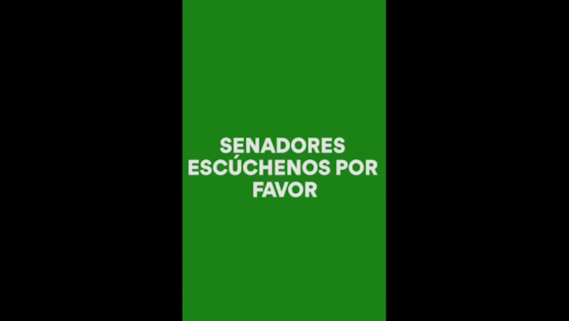 imagen La juventud partidaria pidió aborto legal ya