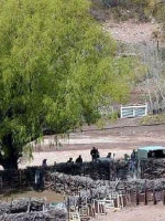 Campesinos argentinos exigen la aprobación de la Ley contra los Desalojos