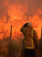 Hay más de 600 mil hectáreas incendiadas y tres provincias afectadas