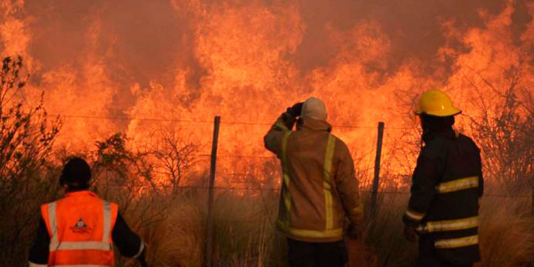 Hay más de 600 mil hectáreas incendiadas y tres provincias afectadas