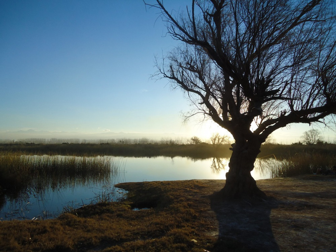 Consulta pública para que la Laguna de Soria de Lavalle sea Área Natural Protegida