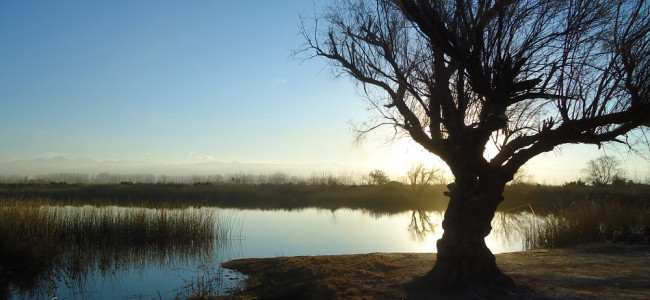 Consulta pública para que la Laguna de Soria de Lavalle sea Área Natural Protegida