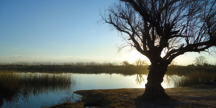 Consulta pública para que la Laguna de Soria de Lavalle sea Área Natural Protegida