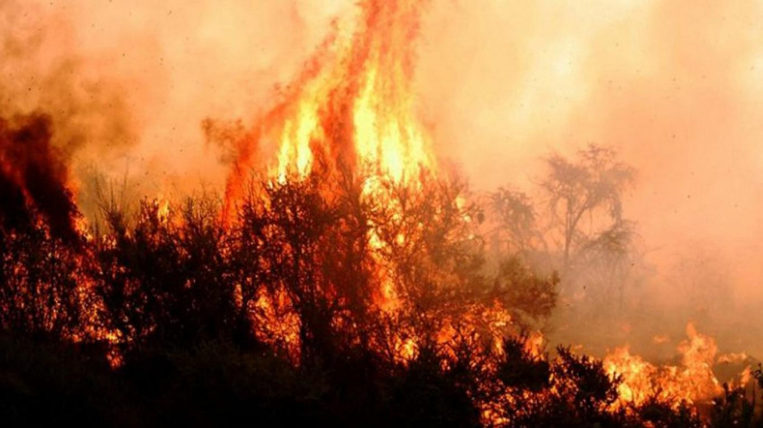 El 10 % del territorio pampeano ha sido arrasado por incendios desde octubre