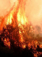 El 10 % del territorio pampeano ha sido arrasado por incendios desde octubre