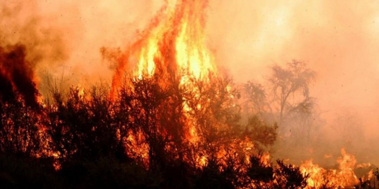 El 10 % del territorio pampeano ha sido arrasado por incendios desde octubre
