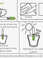 Cuidando nuestra gran casa 