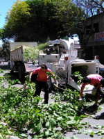 Despidieron a 70 empleados que recolectaban residuos en Las Heras