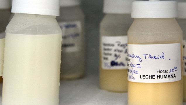 imagen Mendoza, con récord de centros de recolección de leche materna