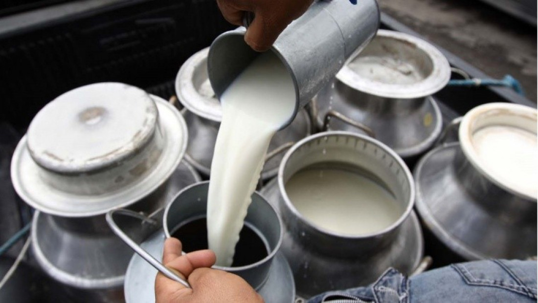 Productores lecheros del país: "Estamos con una crisis muy profunda de rentabilidad"