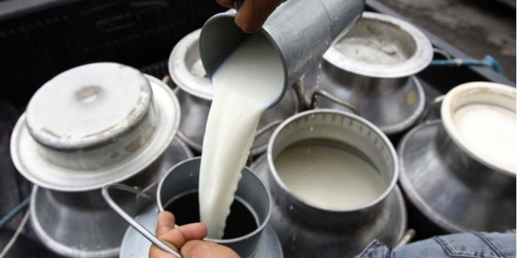 Productores lecheros del país: "Estamos con una crisis muy profunda de rentabilidad"