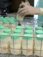 Día Mundial de la Donación de Leche Humana