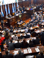 Críticas al fallo de la Corte desde la perspectiva de género