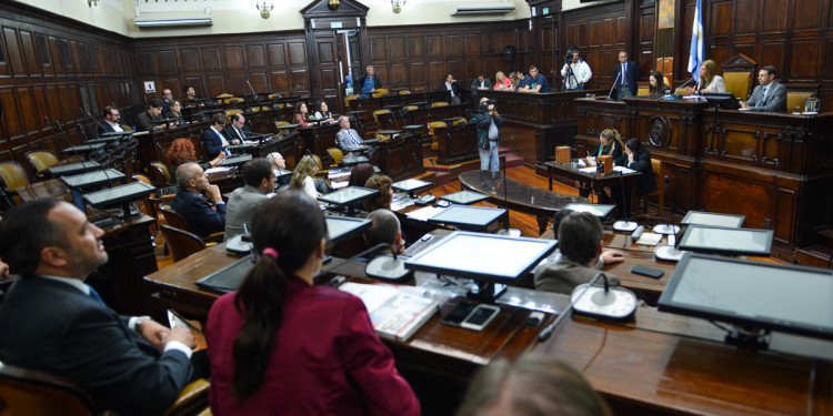 Reforma constitucional: universidades mendocinas presentaron sus propuestas