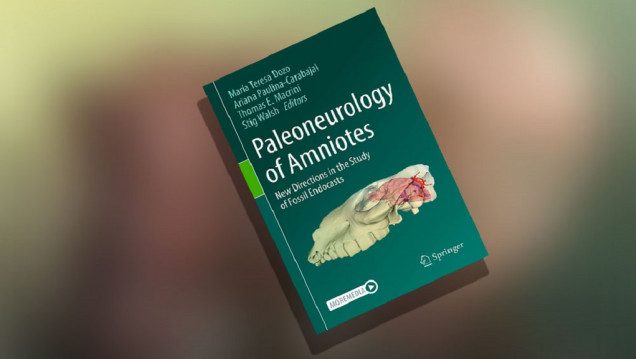 imagen Publican la compilación más completa sobre la evolución del cerebro de reptiles, aves y mamíferos