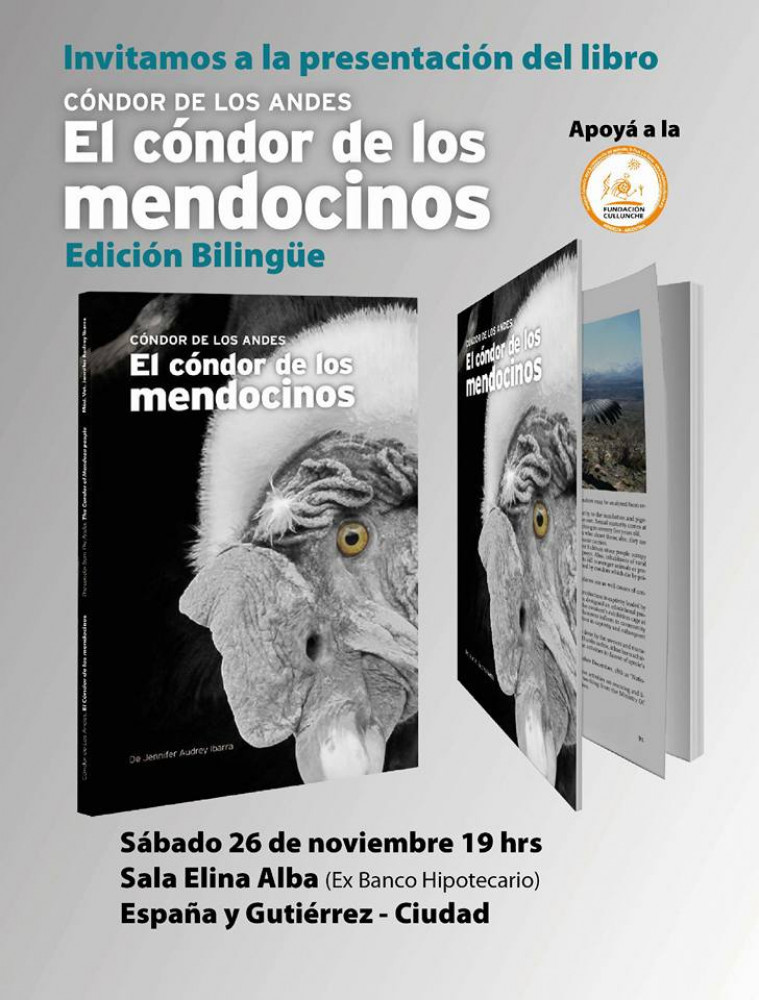 Presentarán un libro sobre "el cóndor de los mendocinos"