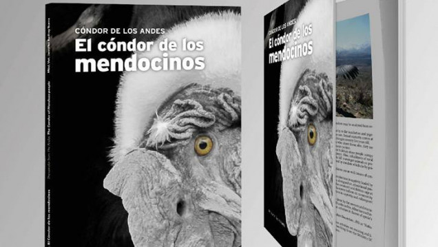 imagen Presentarán un libro sobre "el cóndor de los mendocinos"