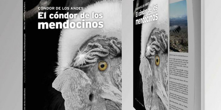 Presentarán un libro sobre "el cóndor de los mendocinos"