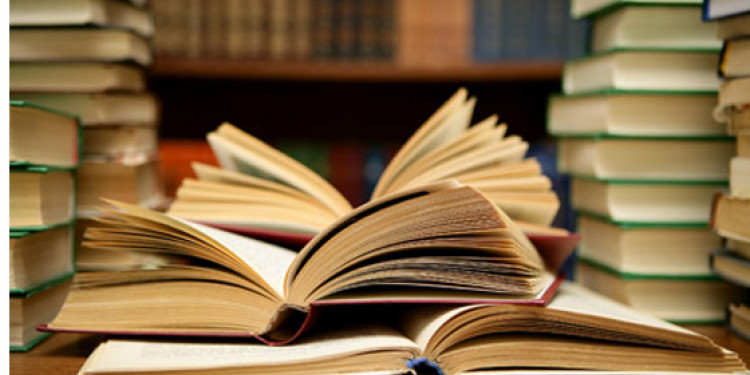 Buscan construir 18 bibliotecas públicas
