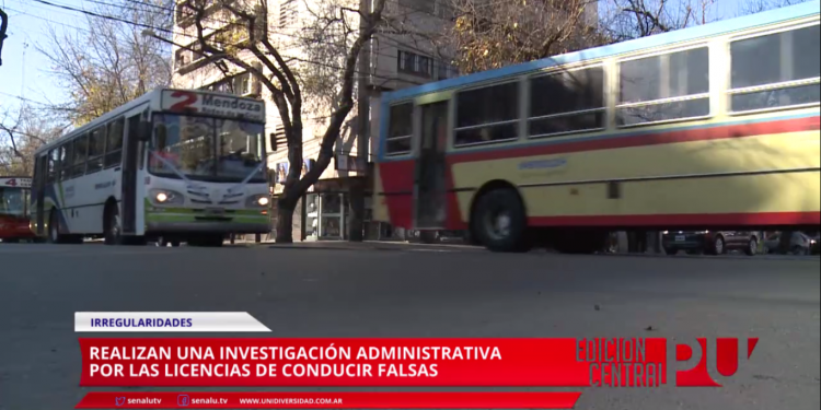 Avanza la pesquisa por carnets de conducir truchos
