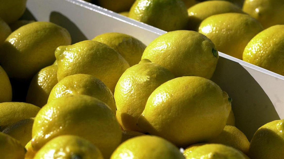 Estados Unidos autorizó de manera definitiva el acceso de limones argentinos