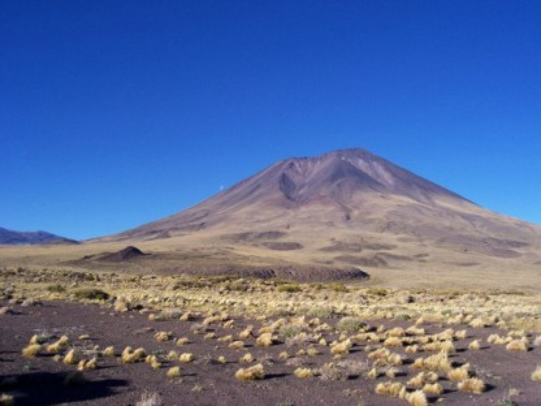 Paraíso morfológico