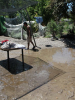 Unas 16 casas resultaron anegadas por las lluvias