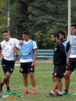 Lobo tranquilo