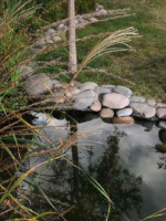 Un novedoso sistema para reutilizar el agua