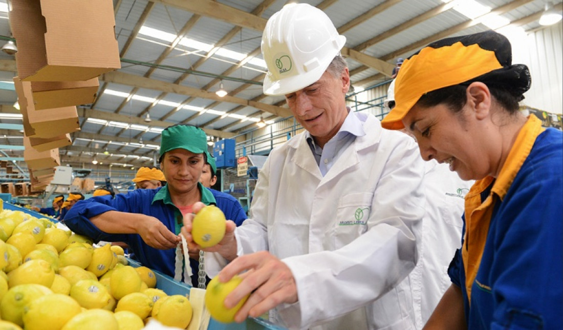 Argentina vuelve a exportar limones después de 17 años 