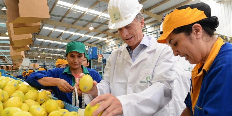 Argentina vuelve a exportar limones después de 17 años 