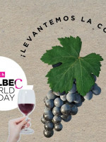 Día Internacional del Malbec: 10 datos de la variedad estrella de la vitivinicultura argentina