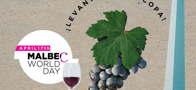 Día Internacional del Malbec: 10 datos de la variedad estrella de la vitivinicultura argentina
