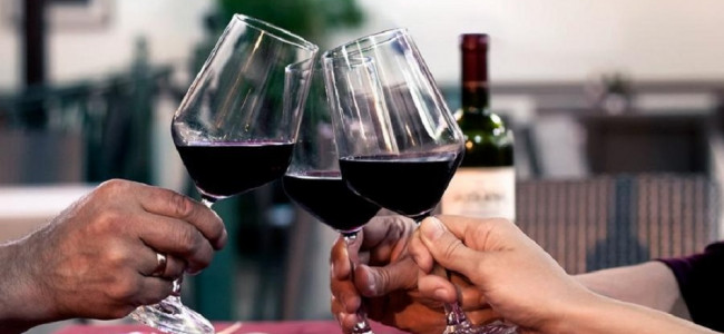 Mendoza festeja el Día Mundial del Malbec con una nutrida agenda de actividades