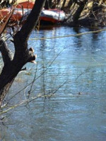 Rastrillan por tercera vez el río Chubut dentro de la comunidad mapuche