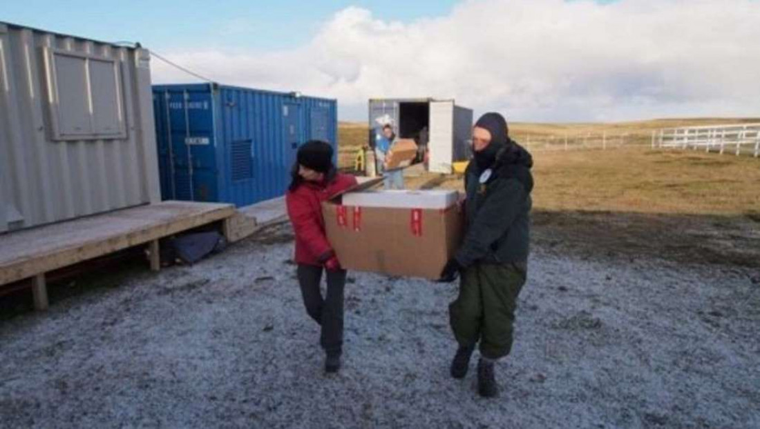 La Cruz Roja terminó de exhumar en Malvinas las tumbas de soldados caídos