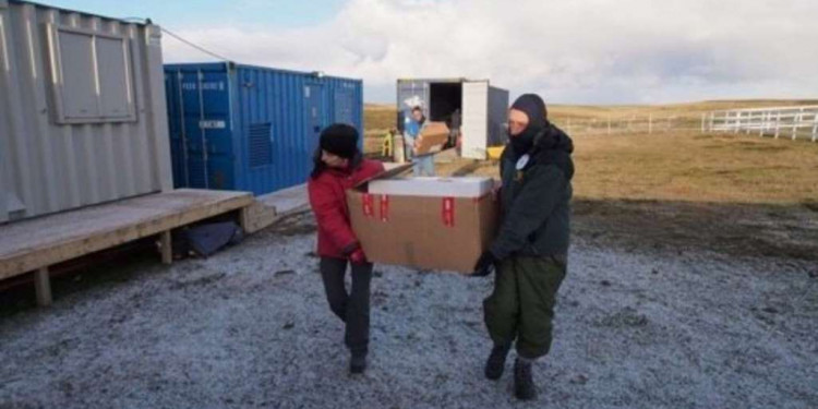 La Cruz Roja terminó de exhumar en Malvinas las tumbas de soldados caídos