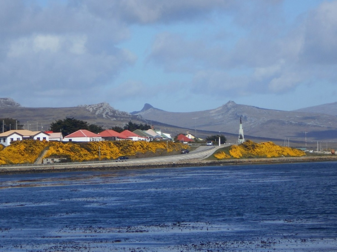 Estudios del Conicet sobre especies marinas reafirman la soberanía argentina sobre Malvinas