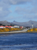 Identificaron a otros cuatro soldados caídos en Malvinas: ya son 110 