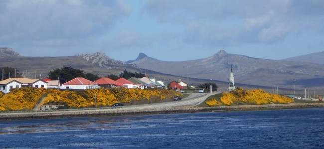 Estudios del Conicet sobre especies marinas reafirman la soberanía argentina sobre Malvinas