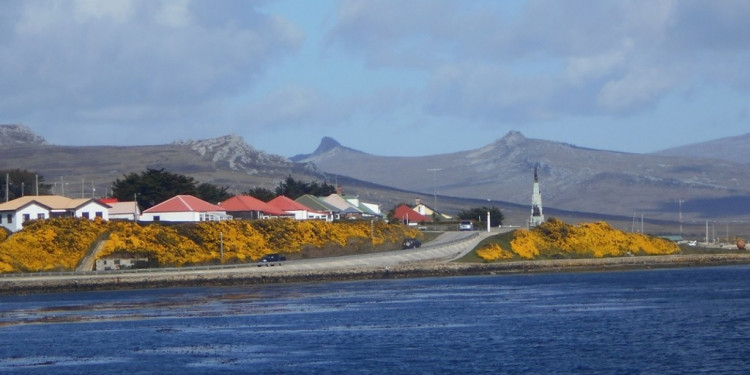 Estudios del Conicet sobre especies marinas reafirman la soberanía argentina sobre Malvinas