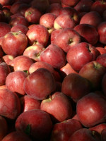 Es ley la emergencia productiva de peras y manzanas para Mendoza, San Juan y La Pampa
