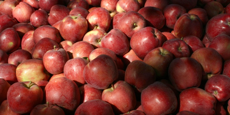 Es ley la emergencia productiva de peras y manzanas para Mendoza, San Juan y La Pampa