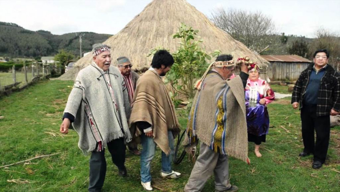 "Las empresas se benefician de la estigmatización mapuche"