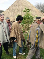 "Las empresas se benefician de la estigmatización mapuche"