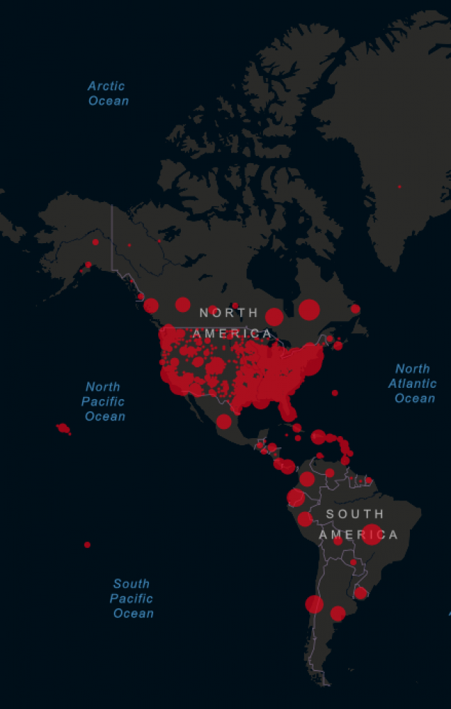 Pandemia: veintitrés voces de América