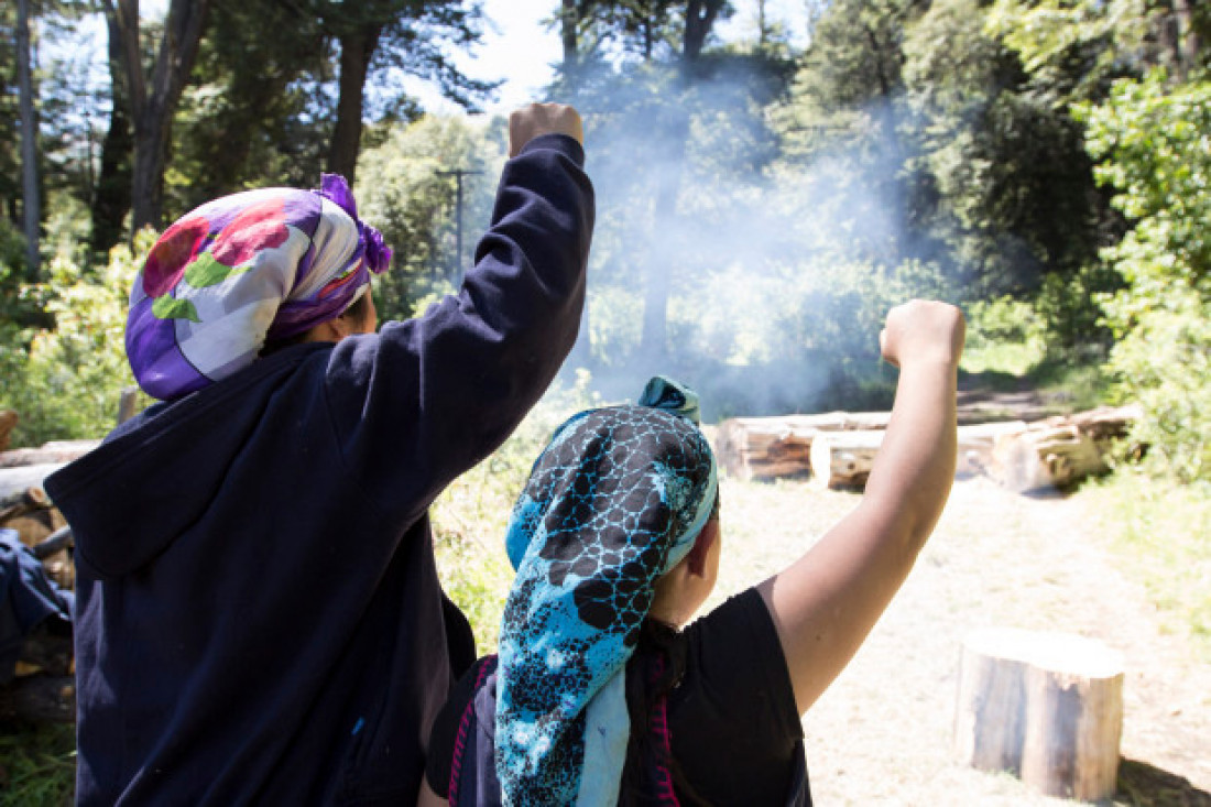 Discursos de odio contra la comunidad mapuche: denuncias y preocupación