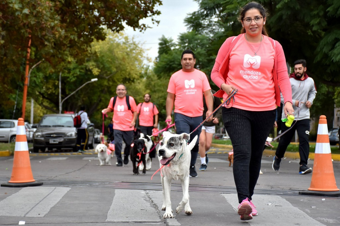 Día del Animal: Ciudad de Mendoza invita a la "Maratón Animal 2022"