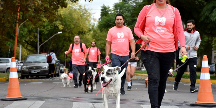 Día del Animal: Ciudad de Mendoza invita a la "Maratón Animal 2022"
