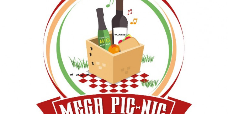 Mega picnic solidario 